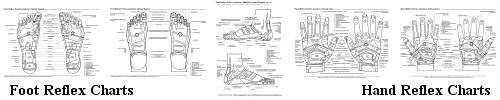 Reflexology Foot and Hand Study Charts - Black and White